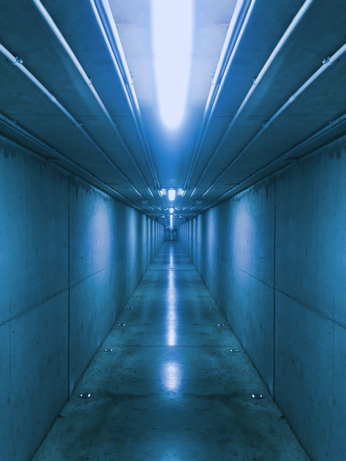 concrete long corridor in blue cool light, frontal vantage perspective